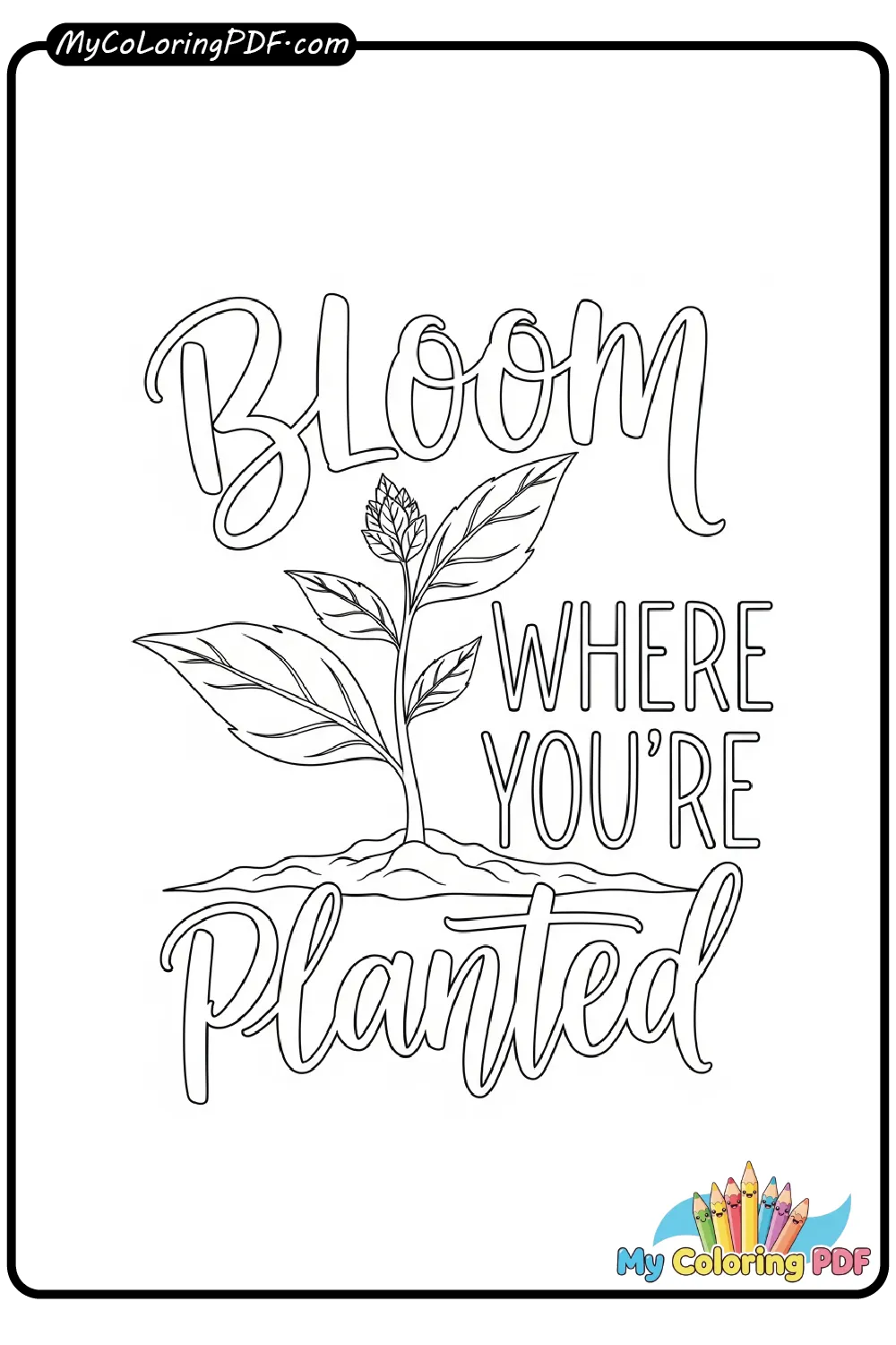 Bloom Where You’re Planted