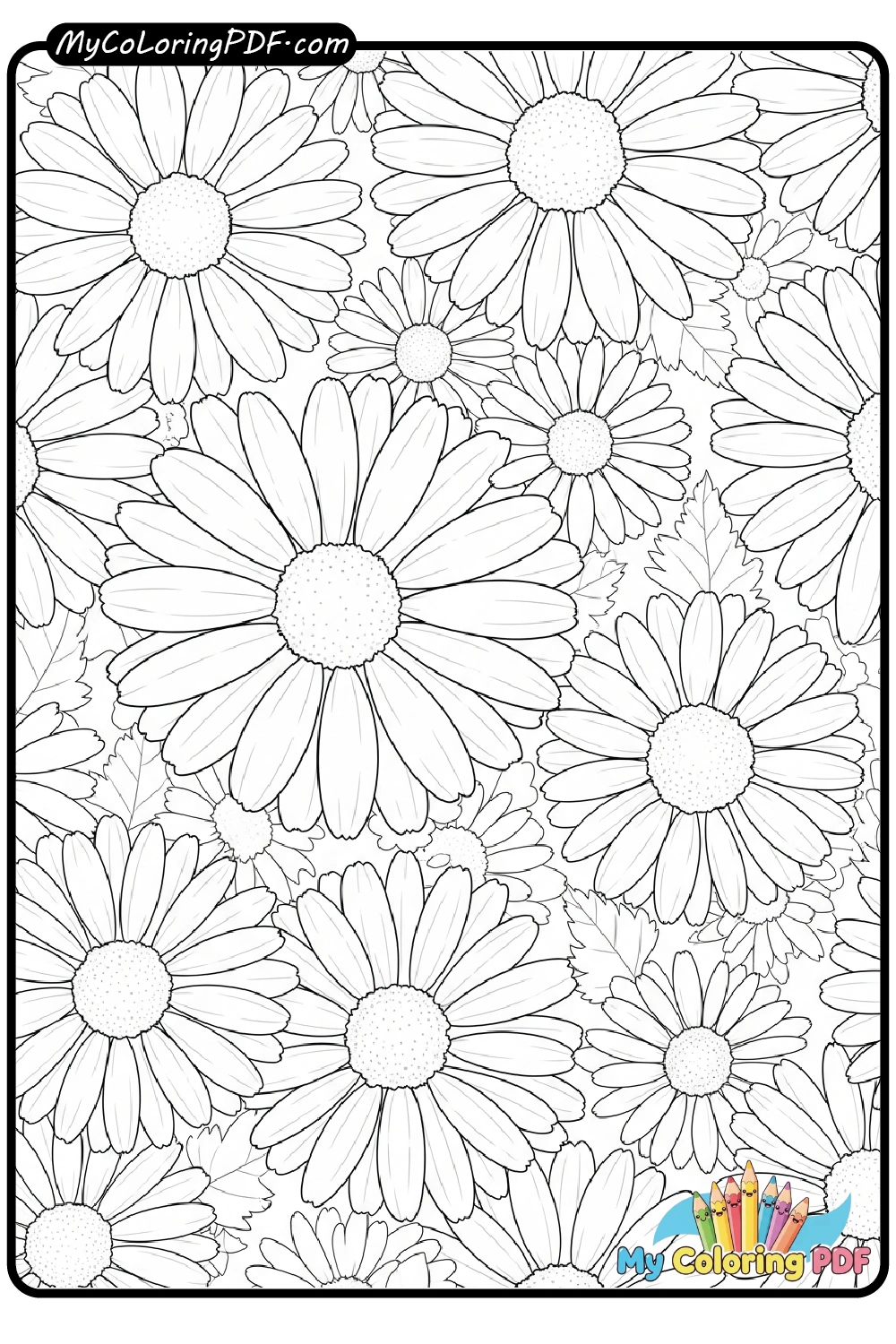 Daisy Bloom Pattern
