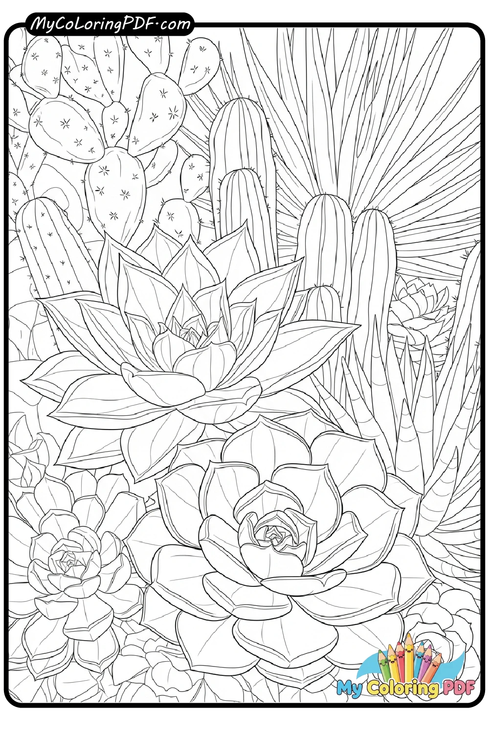 Succulent and Cactus Mix