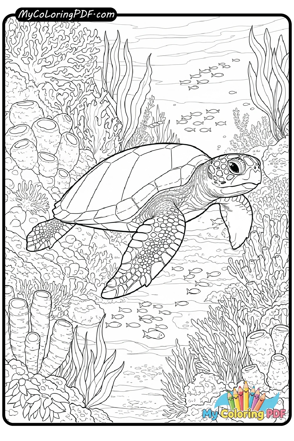 Turtle’s Coral Path